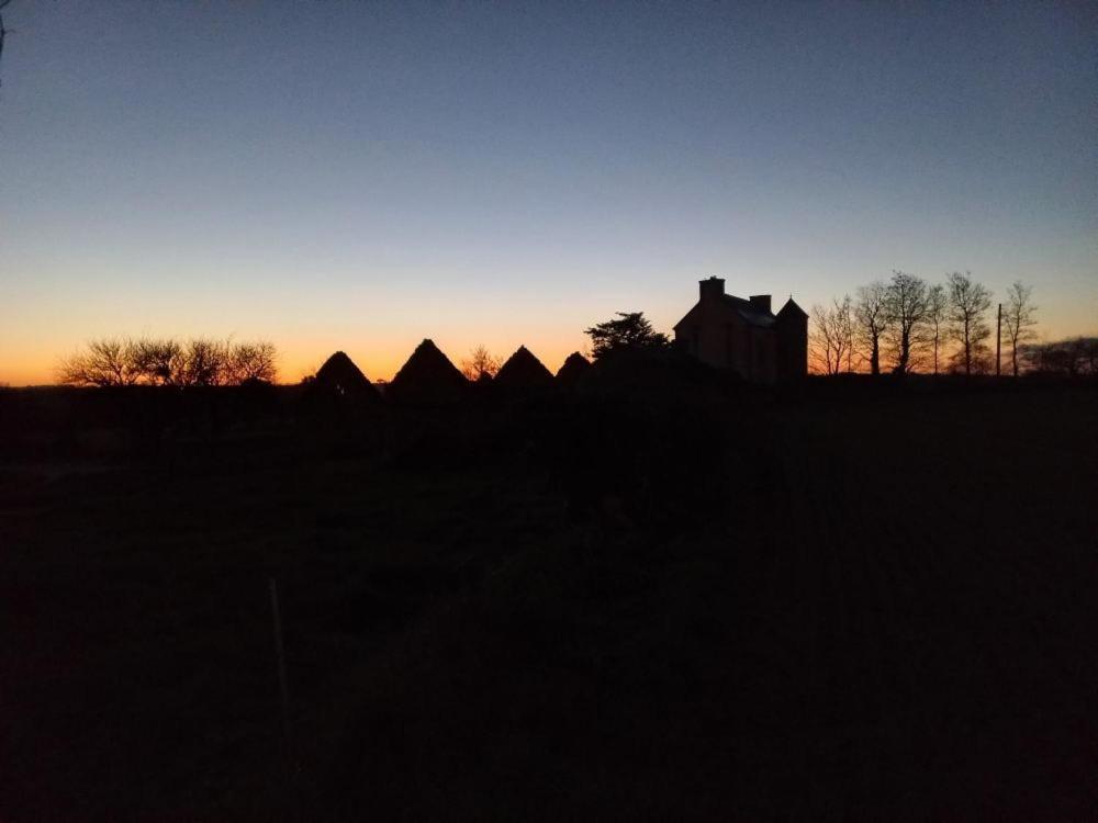 Homestay Manoir De Kerozet - - 3 Chiens Plouider