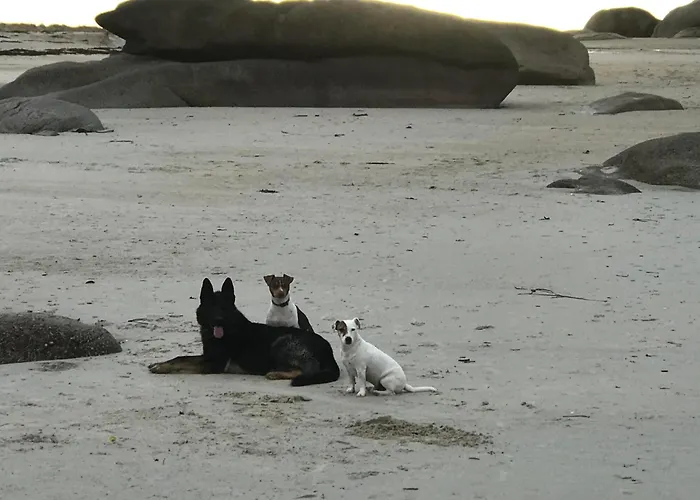 Manoir De Kerozet - Chambres Chez L\'Habitant - 3 Chiens
