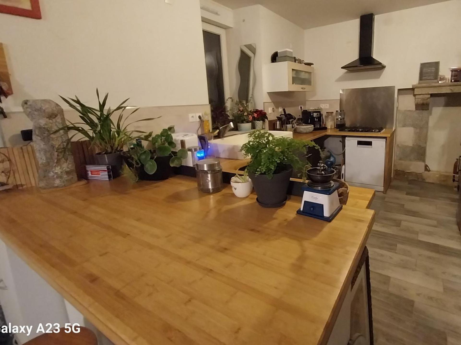 Homestay Manoir De Kerozet - - 3 Chiens Plouider